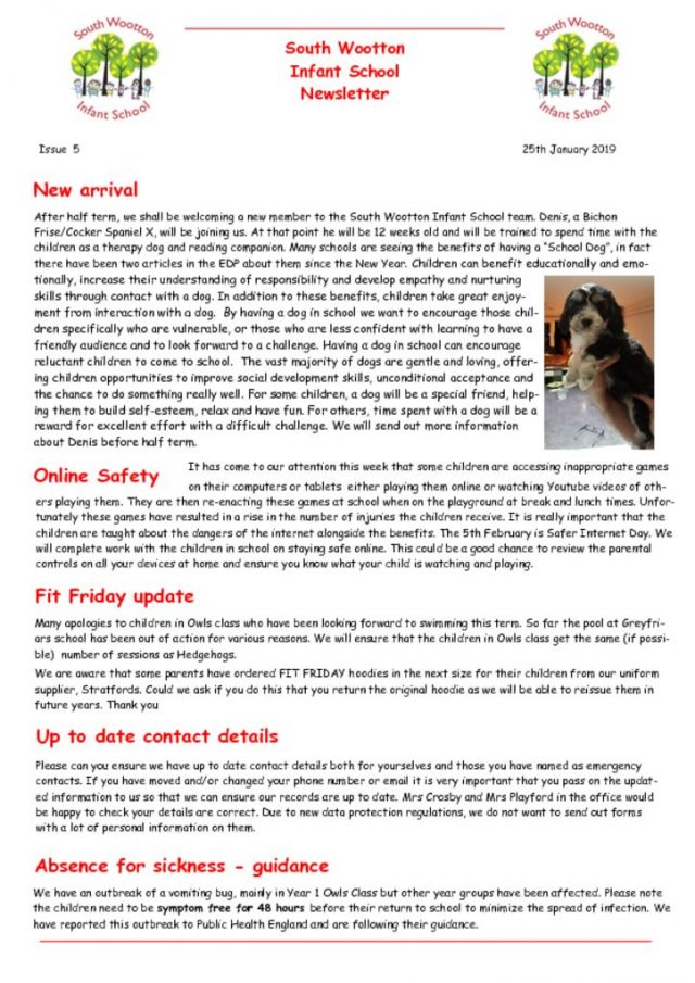 thumbnail of Newsletter 25.01.19